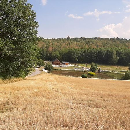 Residenz Moselstausee Sankt Aldegund Eksteriør billede