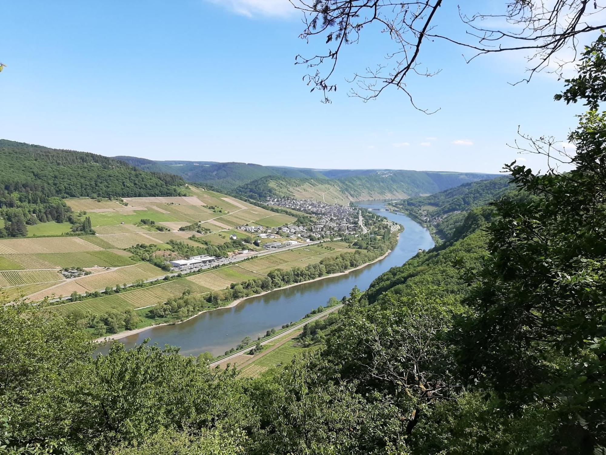 Residenz Moselstausee Sankt Aldegund Eksteriør billede