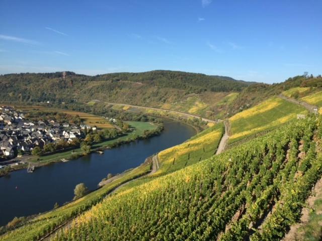 Residenz Moselstausee Sankt Aldegund Eksteriør billede
